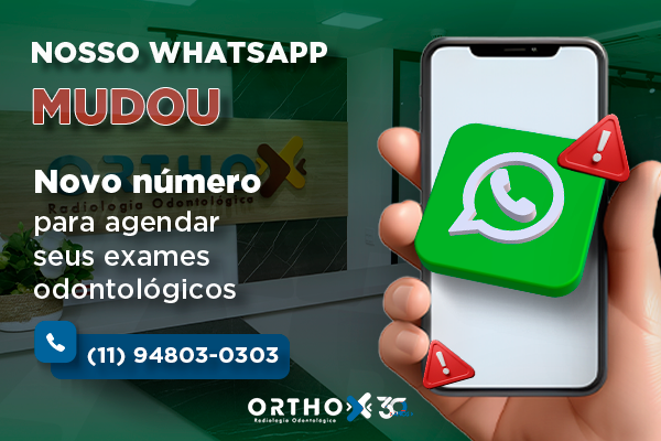 Imagem do Pop-up sobre o WhatsApp estar fora.
